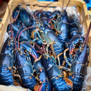 Panier homard